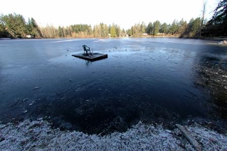 Our frozen little lake